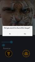 Tiger Cam - Tiger Face Morphing App ảnh chụp màn hình 3