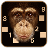 Beat the chimp - Brain puzzle