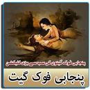 Punjabi Folk Audio Collection-APK