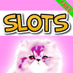 🐱 Tabby Tycoon Cat Slots 🐱
