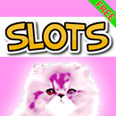 🐱 Tabby Tycoon Cat Slots 🐱 APK