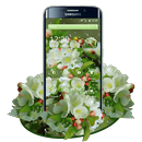 Beautiful Water Drop Romantic Love Theme APK