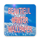 Beautiful Winter Wallpapers APK