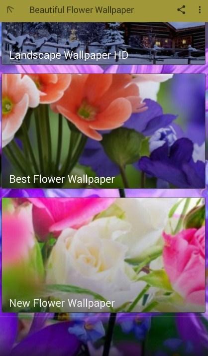 Unduh 400+ Wallpaper Bunga Indah Terbaru Unduh 400+ Wallpaper Bunga Indah Terbaru