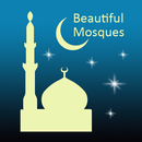 Beautiful Masjids APK