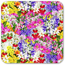 Beautiful Flowers Wallpaper aplikacja