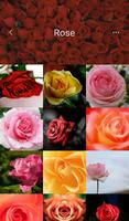 Beautiful Flower Wallpapers capture d'écran 2