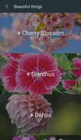 Beautiful Flower Wallpapers 截图 3