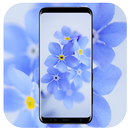 Beautiful Image, Wallpapers HD APK