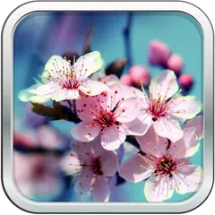 Flowers Wallpapers ✿ APK Herunterladen