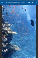 Beauty Underwater Wallpaper capture d'écran 1