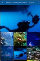 Beauty Underwater Wallpaper capture d'écran 2
