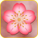 Kirschblüten Live Wallpaper APK