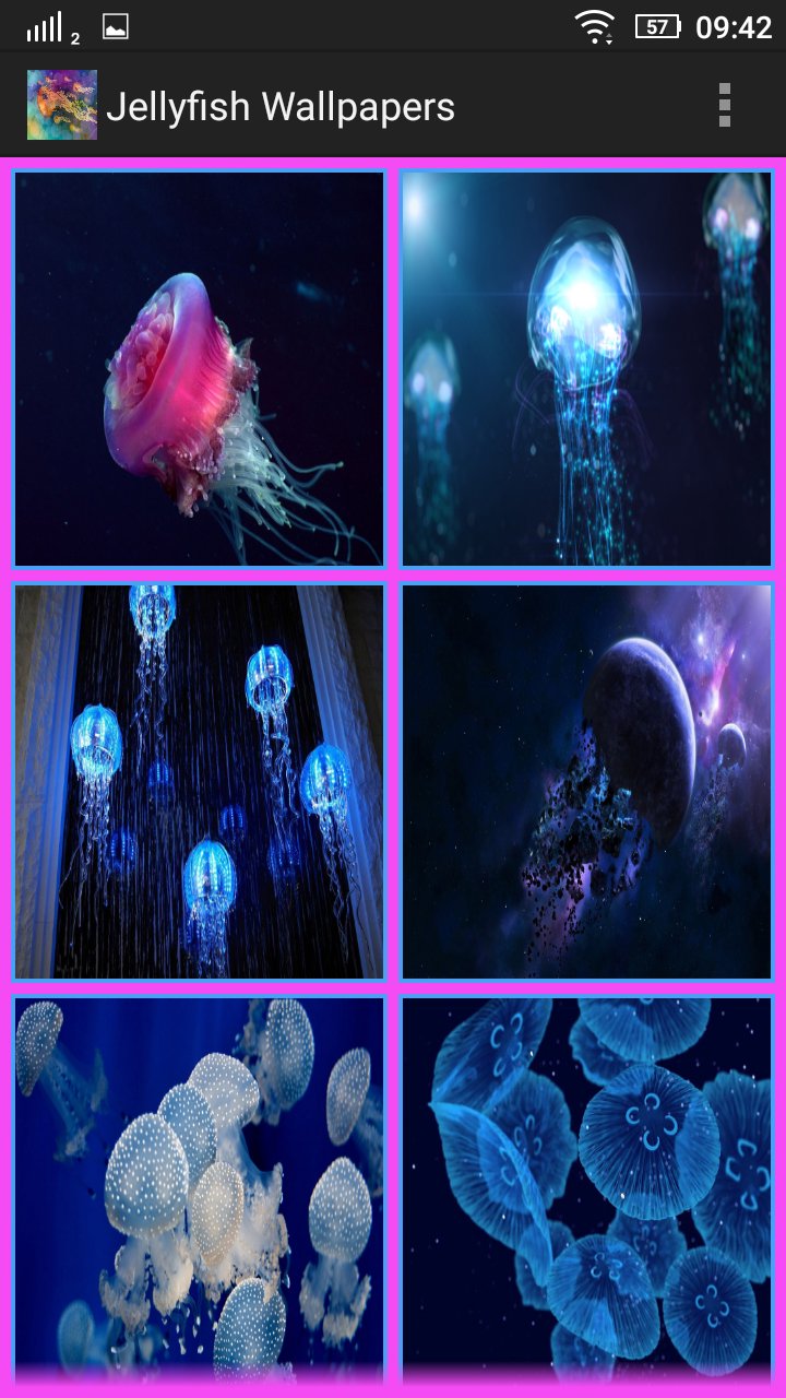 JellyFish Wallpapers APK für Android herunterladen