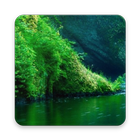 Beauty Nature HD Wallpaper-icoon