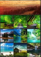 Beauty Nature HD Wallpaper-poster