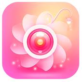 Download  Picture Artist 