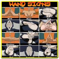 Hand Signs poster