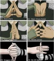 Hand Signs 스크린샷 2