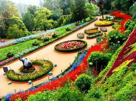 Jardim botânico imagem de tela 1