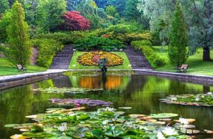 Jardim botânico imagem de tela 2