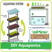 DIY Aquaponics