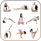 Yoga for Beginners icon