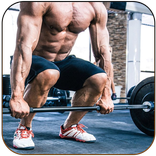 Beginner workout plan