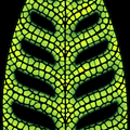 LeafCraft