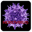 Norovirus Disease