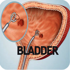 Bladder Cancer icon