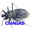 Chagas Disease