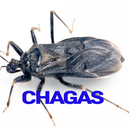 Chagas Disease APK