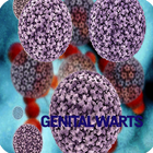 Genitalwarts Infection icon