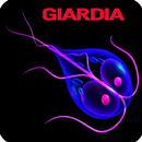 Giardia Infection APK