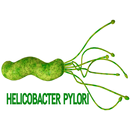 Helicobacter Pylori APK