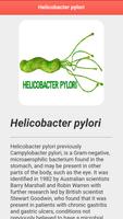 Helicobacter Pylori capture d'écran 2