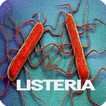 Listeria Disease