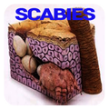 Scabies Disease
