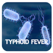 Typhoid Fever Disease