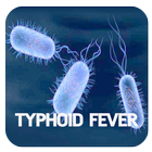 Typhoid Fever Disease icône
