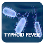 Icona Typhoid Fever Disease