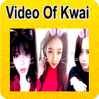 Video of Kwai アイコン