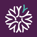 BeDream APK