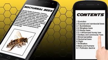 Bee Info Book poster