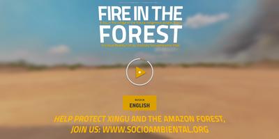 Fire in the Forest 360 VR plakat