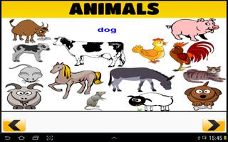 Master English Vocabulary 스크린샷 1
