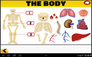 Master English Vocabulary 스크린샷 3