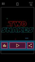 Two Snakes poster