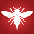 Bee The Swarm